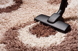 shoreditch local carpet cleaning in n1
