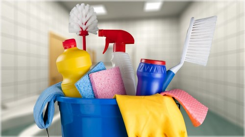 Professional upholstery cleaning for a sofa in a Shoreditch flat