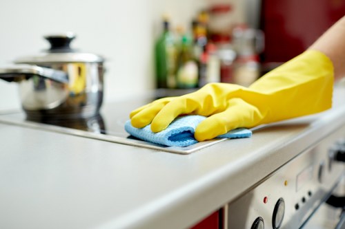 Deep cleaning a bathroom in a Shoreditch flat